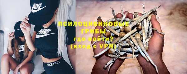 соль ск Верея